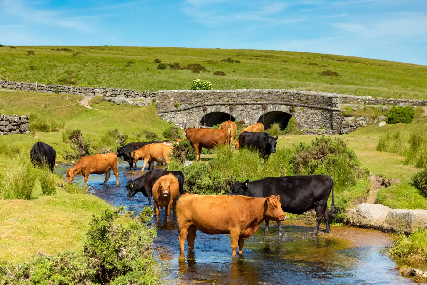 Dartmoor